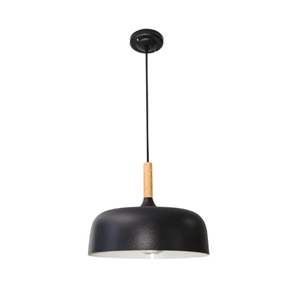 Подвесной светильник Arte Lamp KAYLA A7102SP-1BK